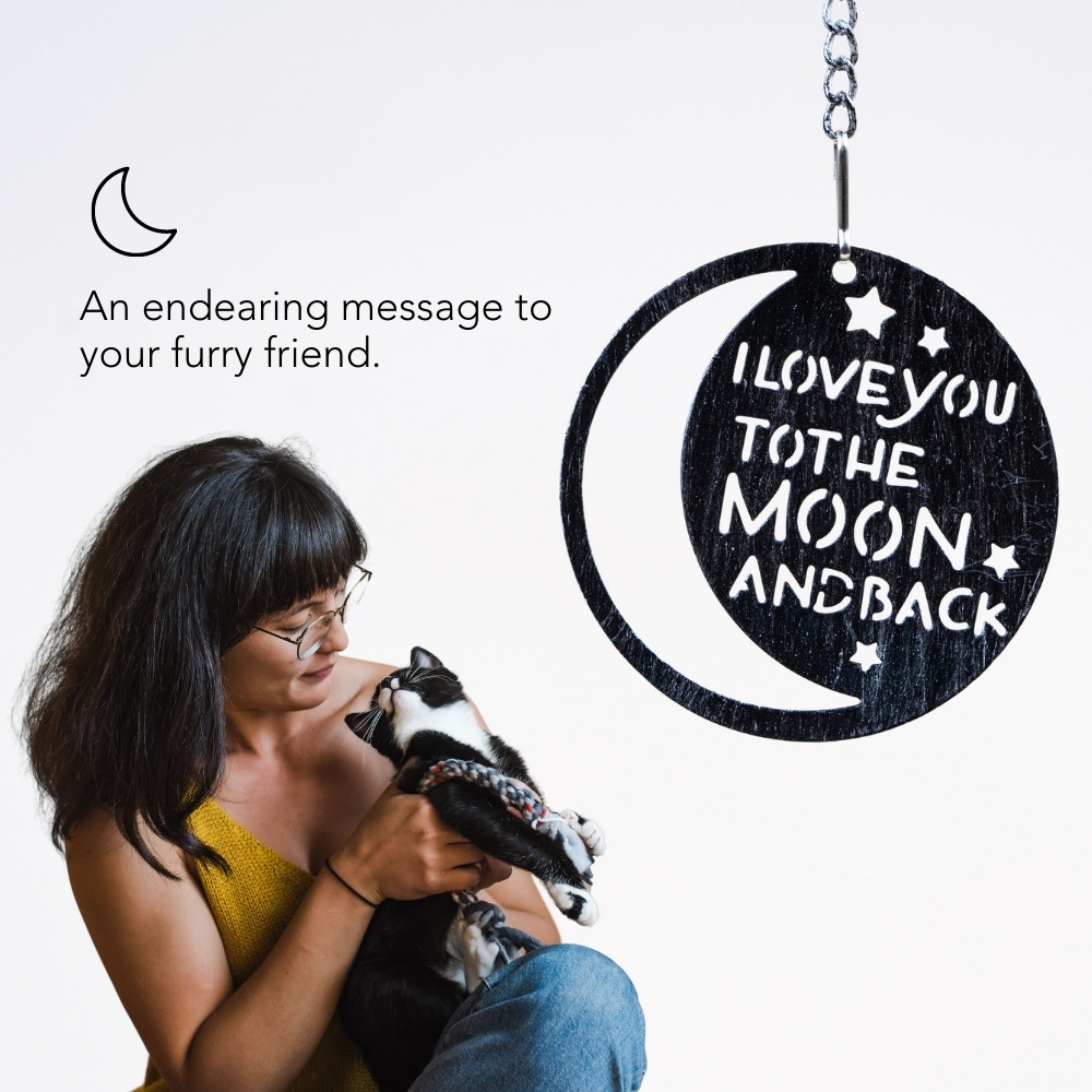 I Love You To The Moon & Back- The Ultimate Garden Solar Lantern for Cat Lovers