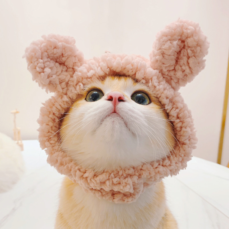 2024  King Cat Costume🔥(Last Day to Sell)