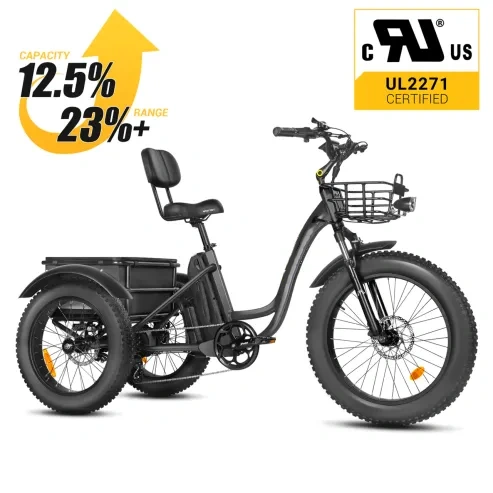 clearance sale💥[750W] Rear Drive Electric Trike Ver 2026