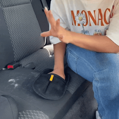 ✨ Pet hair remover Electrostatic gloves