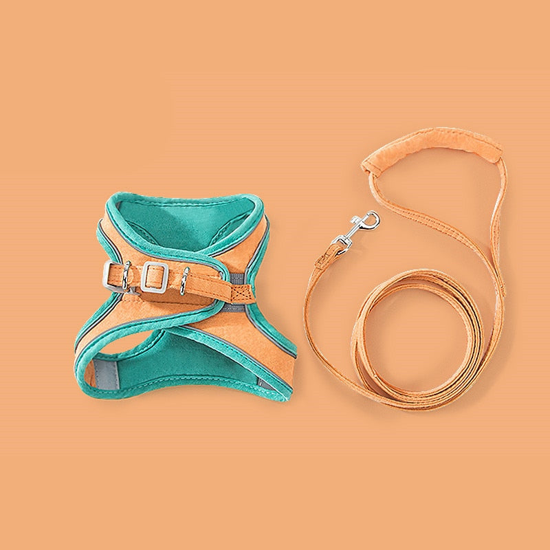 🔥Mother's Day Sale 50%-Fairmrsy-Luminous Cat Vest Harness and Leash Set🔥BUY 2 GET 10% OFF & FREE SHIPPING