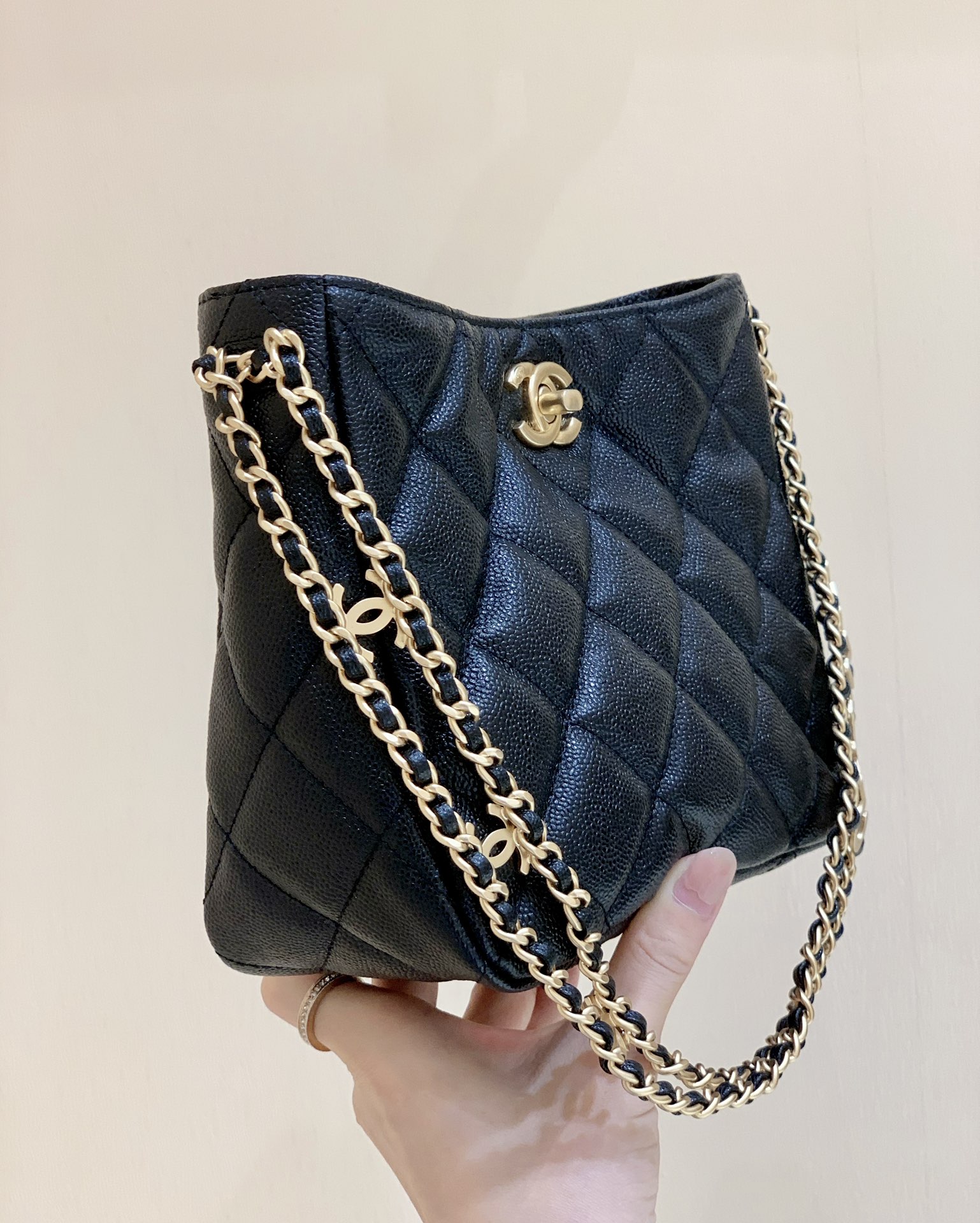 Chanel 2022cc Spring/Summer Collection Hobo Underarm Bag AS3223
