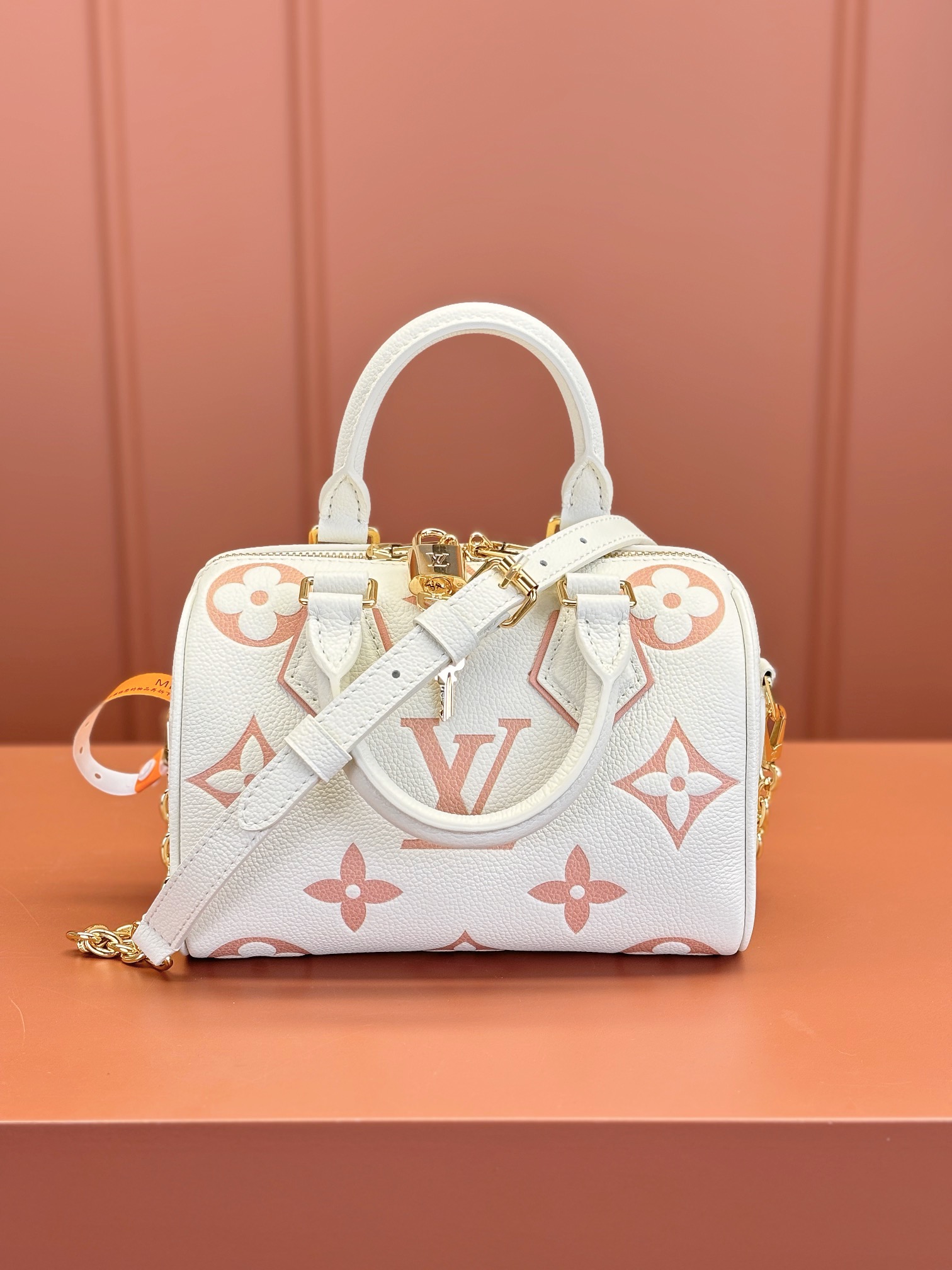 Louis Vuitton SPEEDY BANDOULIÈRE 20 Handbag M46875