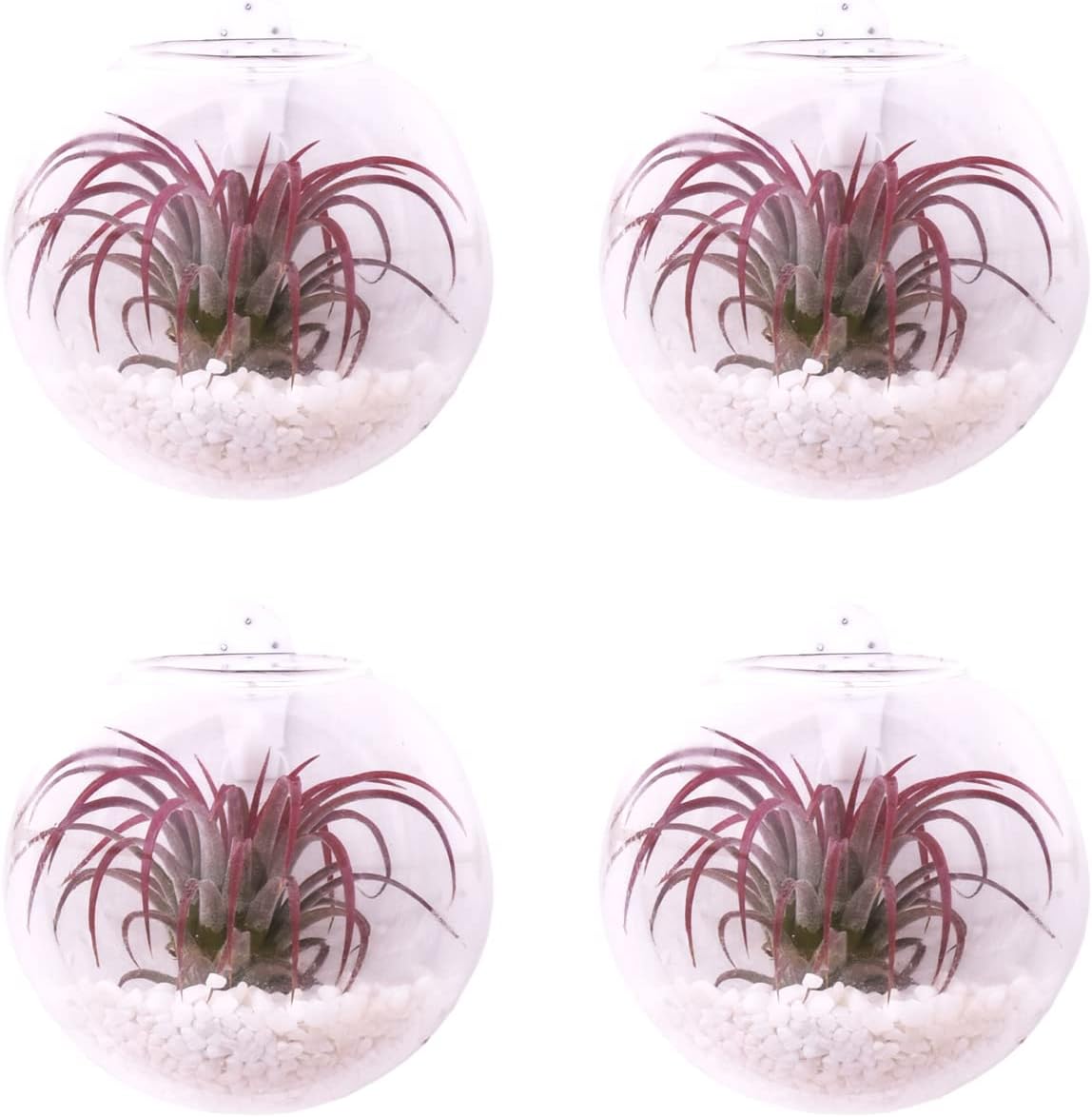 Wall Hanging Planter Propagation Station Glass Flower Vase