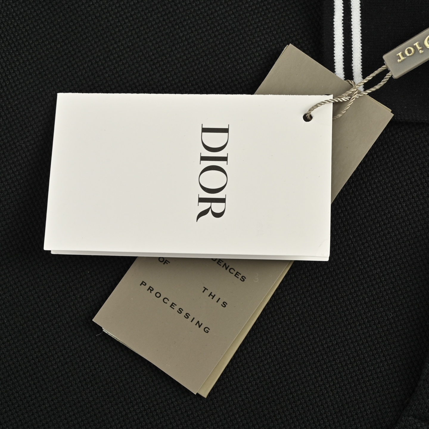 Dior 25ss CD embroidered Polo short sleeve