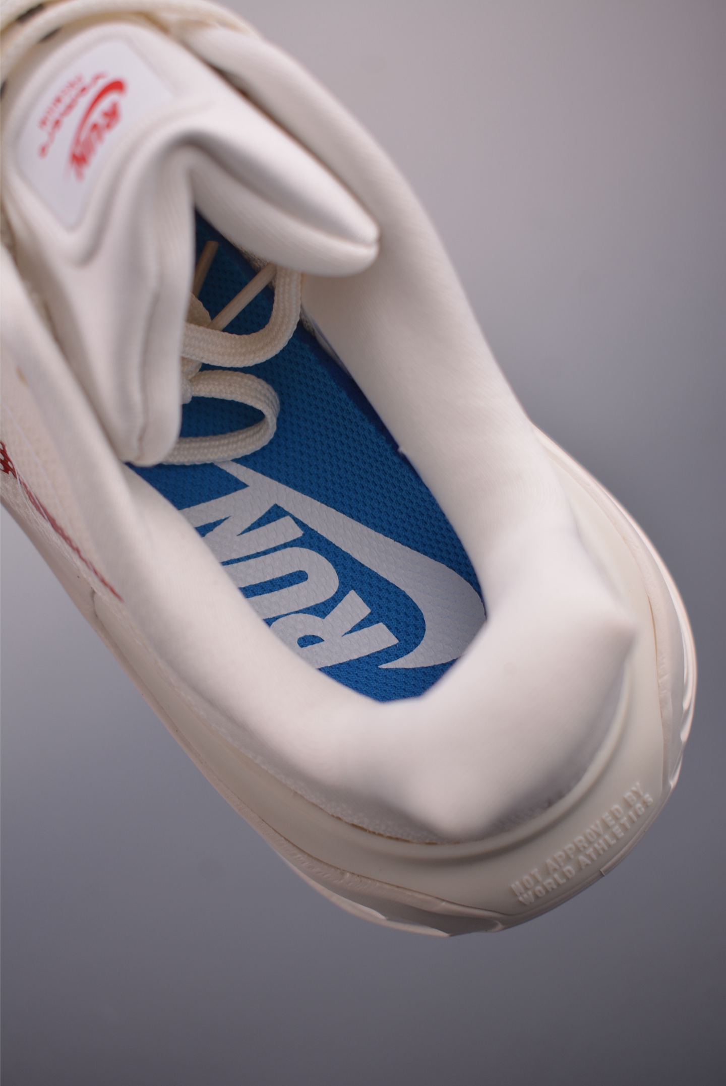 Nike Vomero premium Air FN8453-009