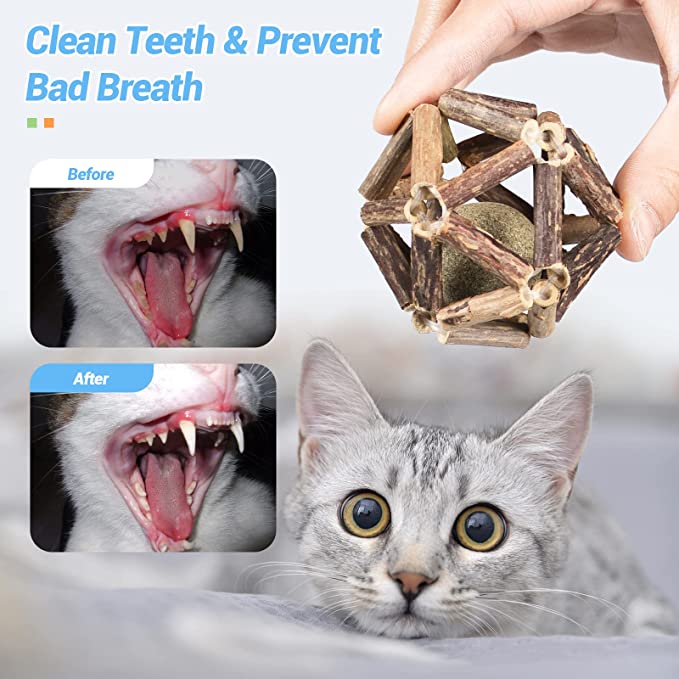 🔥Last Day Promotion-[SAVE 50% OFF]--Natural Silvervine Catnip Chew Toys--BUY 5 GET 5 FREE & FREE SHIPPING