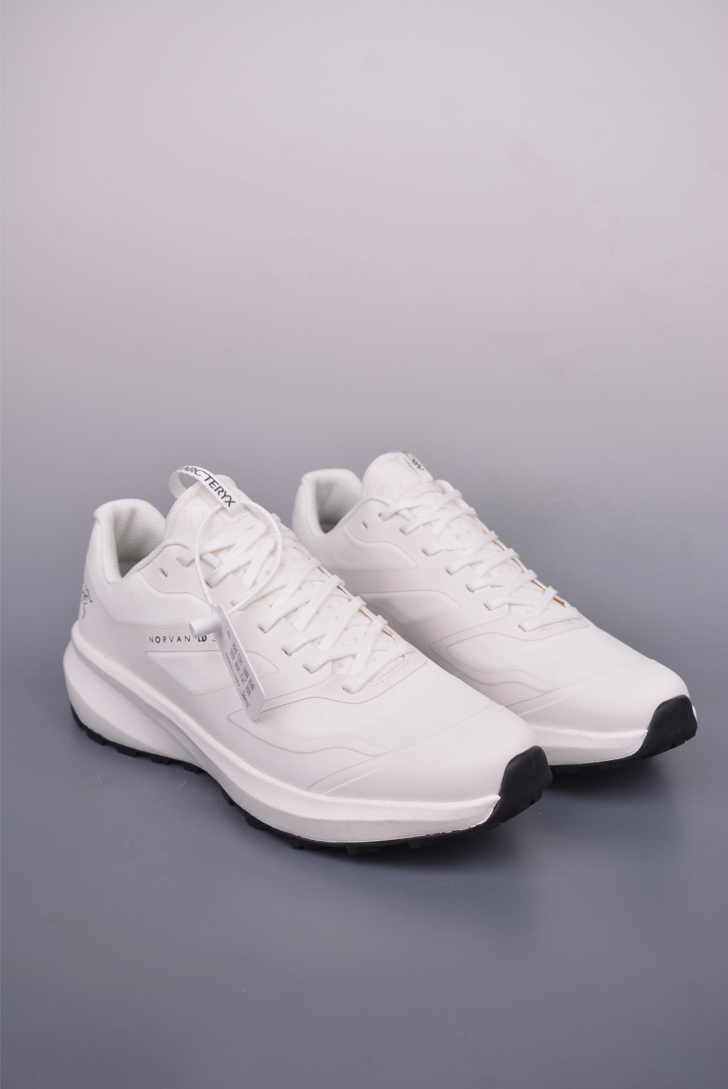 Arc'teryx NORVAN LD 4 M 