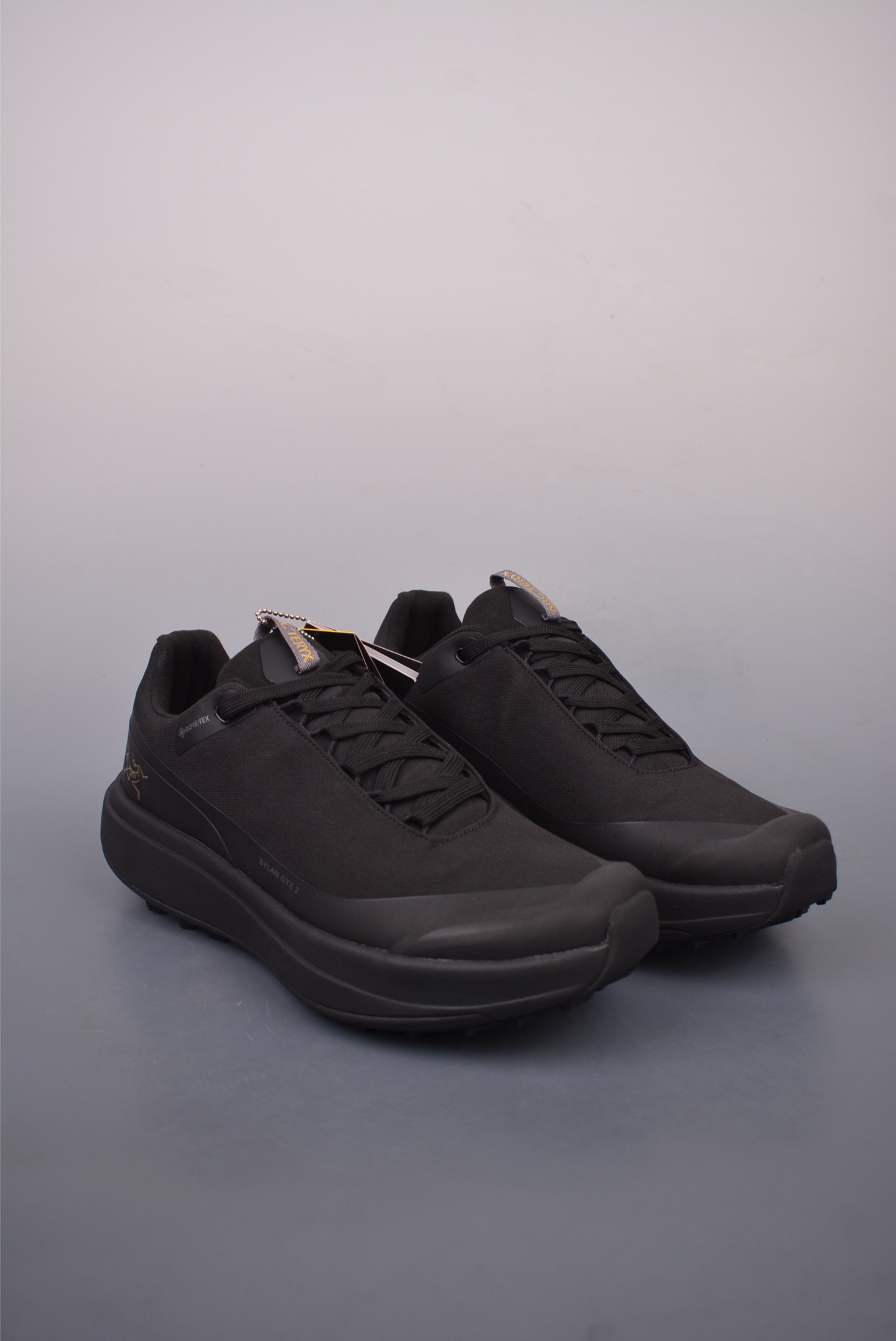 Arc'teryx Sylan GTX Black Gold Label 077218