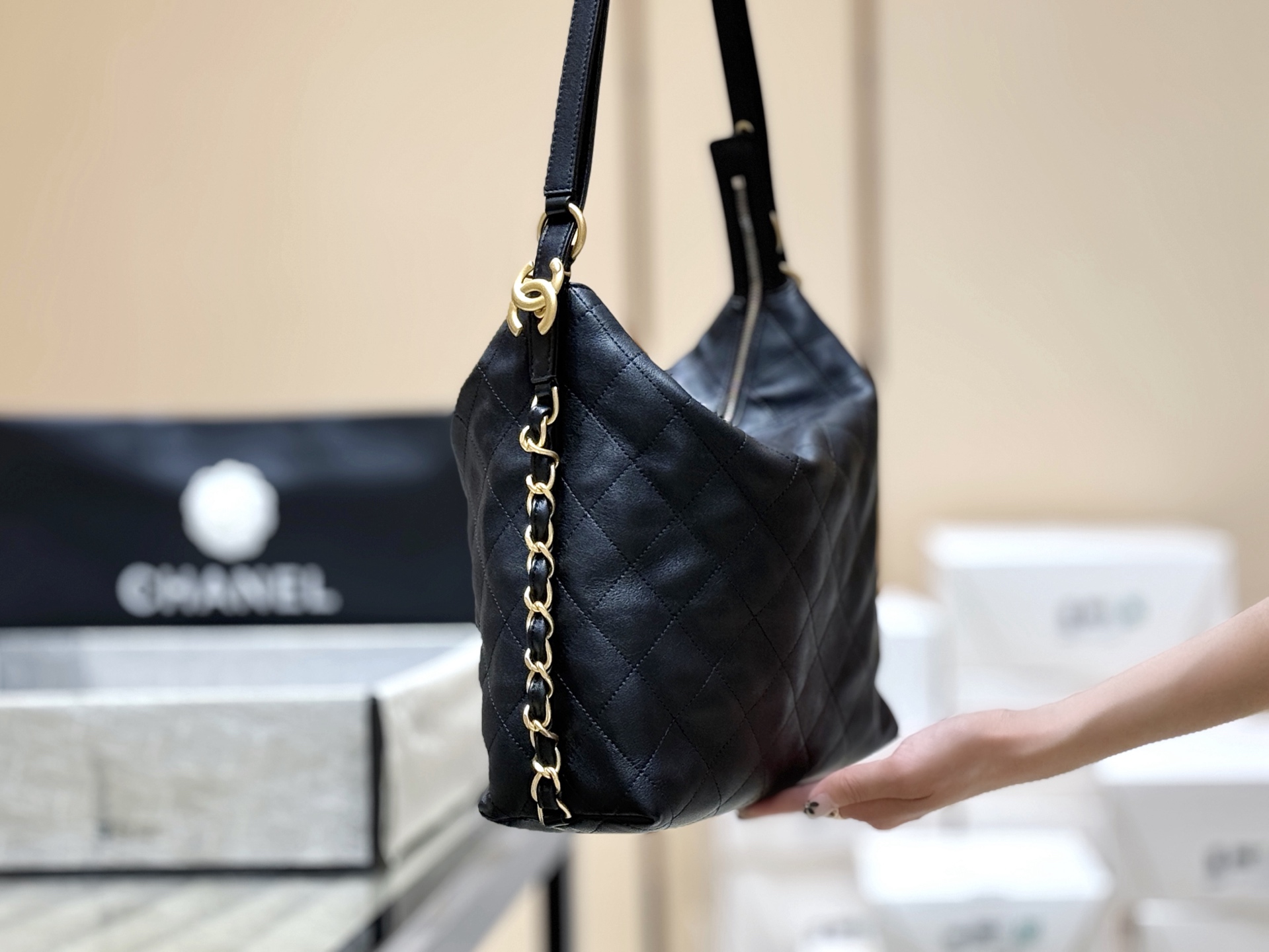 Chanel 25S Spring/Summer Collection Hobo Bag AS5517 00148
