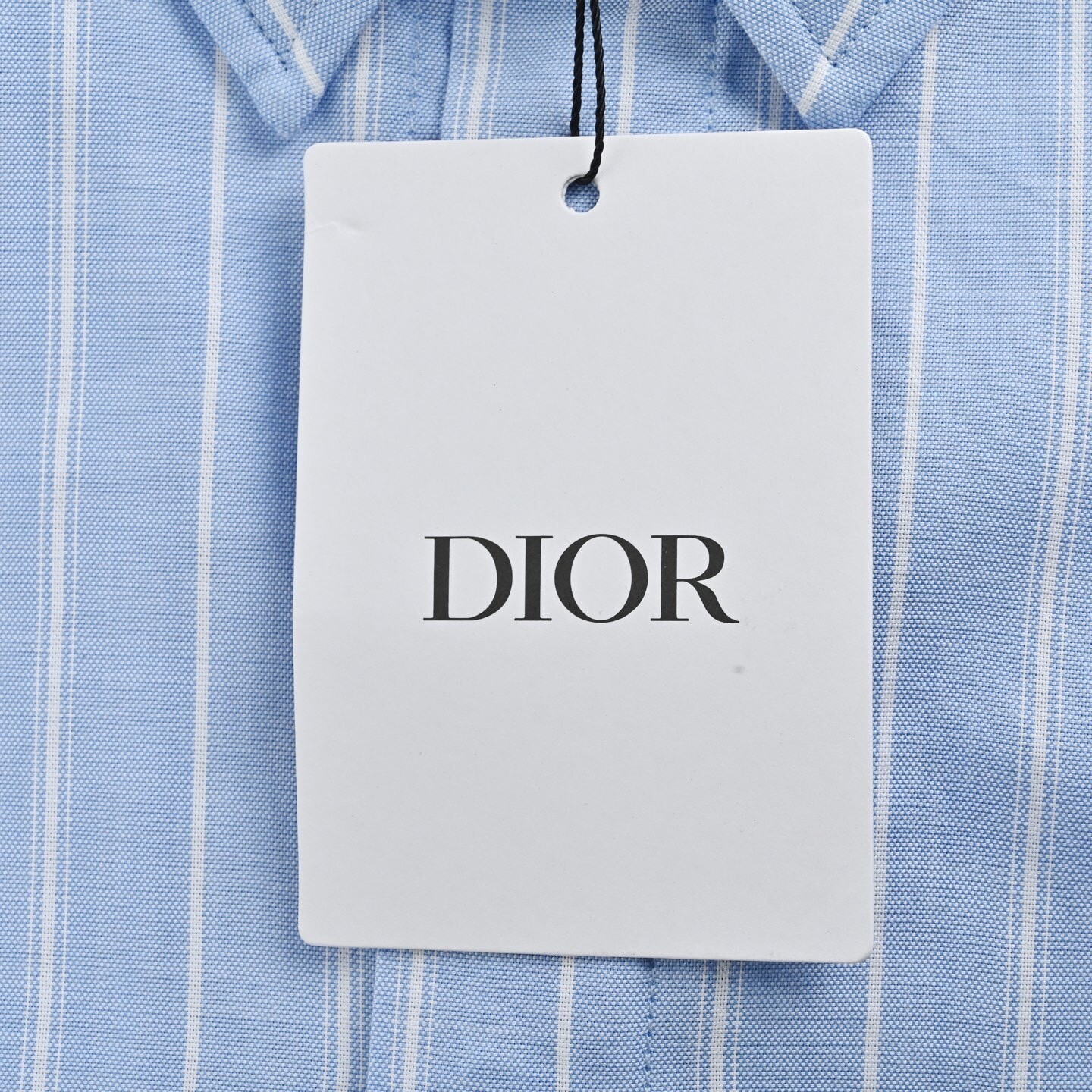 Dior 25ss blue cat embroidered striped shirt