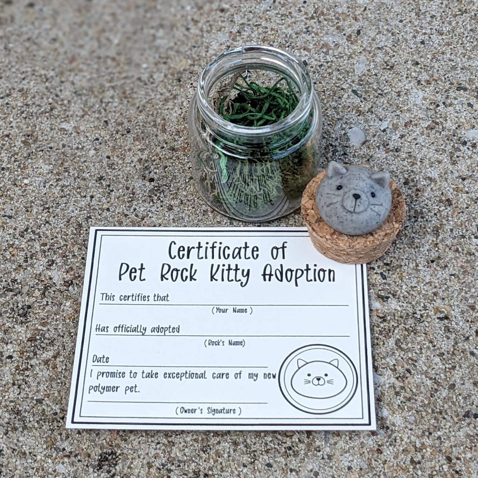 On Sale🔥Adopt A Rock Pet