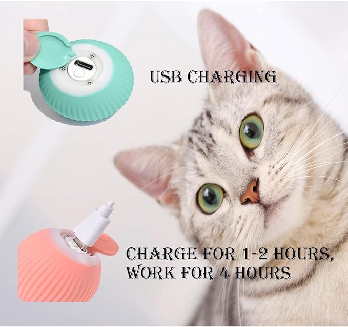 Rolling Smart Ball For Cat