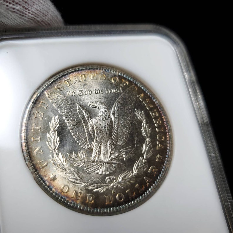 1881 S  Morgan Silver Dollar NGC  MS65  Beautiful Toning  - lot# 264