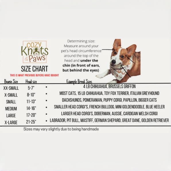 ⚡Flash Sale⚡Pet and Owner  Beanie Set