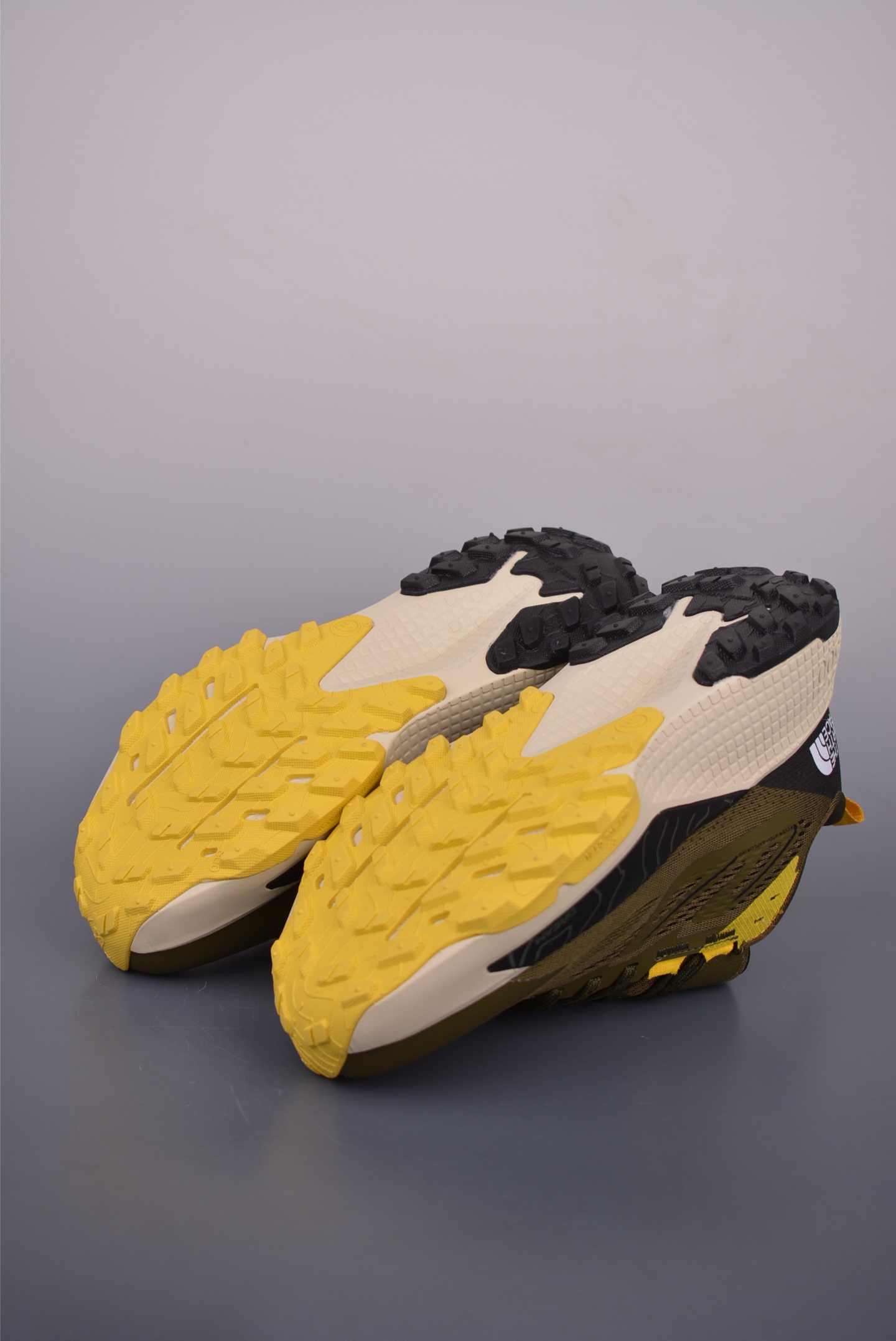 The North Face Altamesa 500 Hiking Shoes 