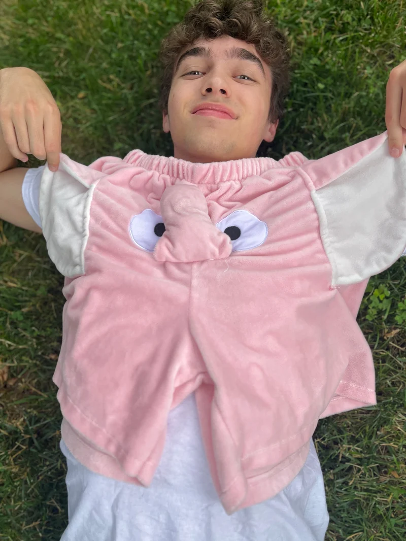 🔥Last Day 50% OFF🔥Elephant Shorts