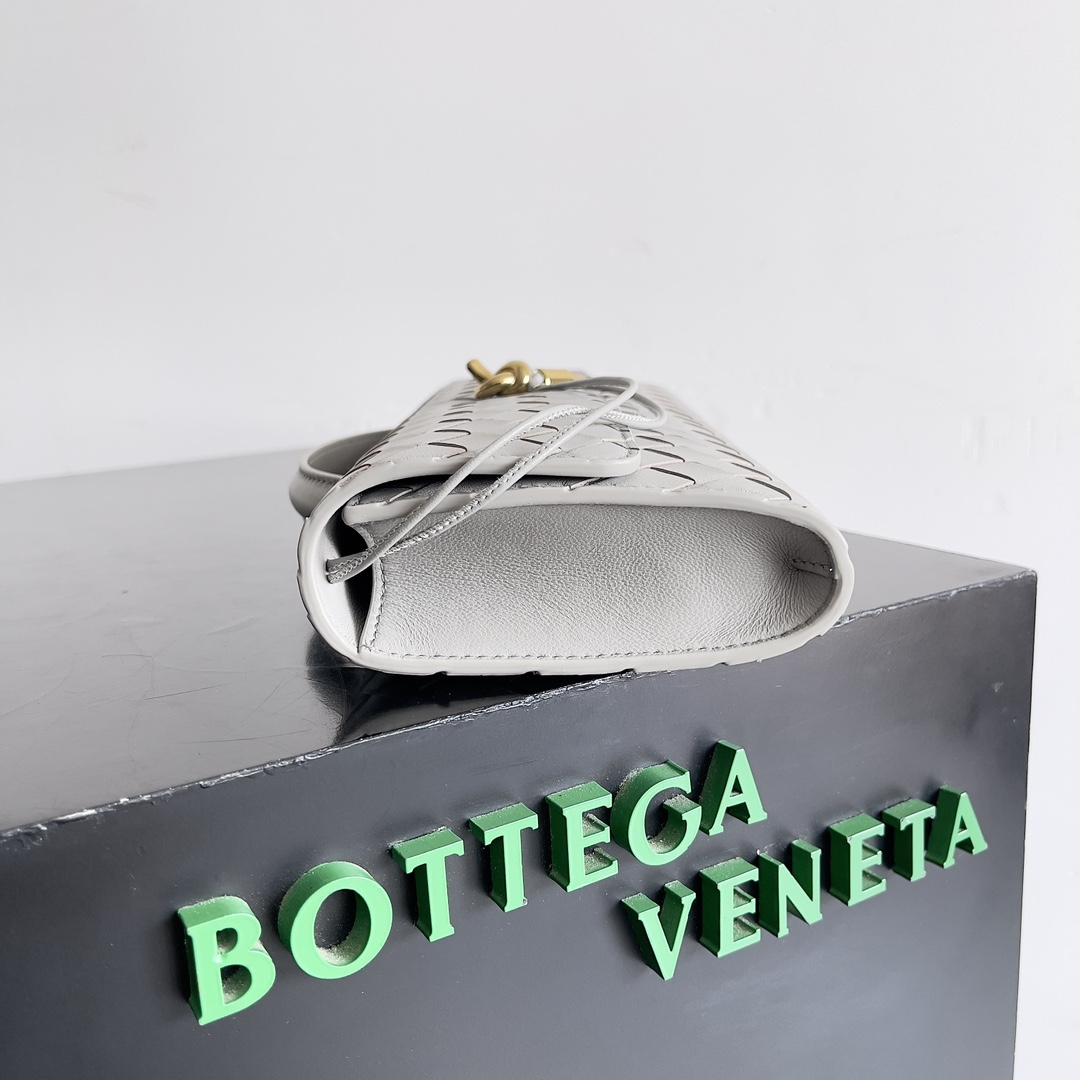 Bottega Veneta Andiamo Evening Clutch 741511