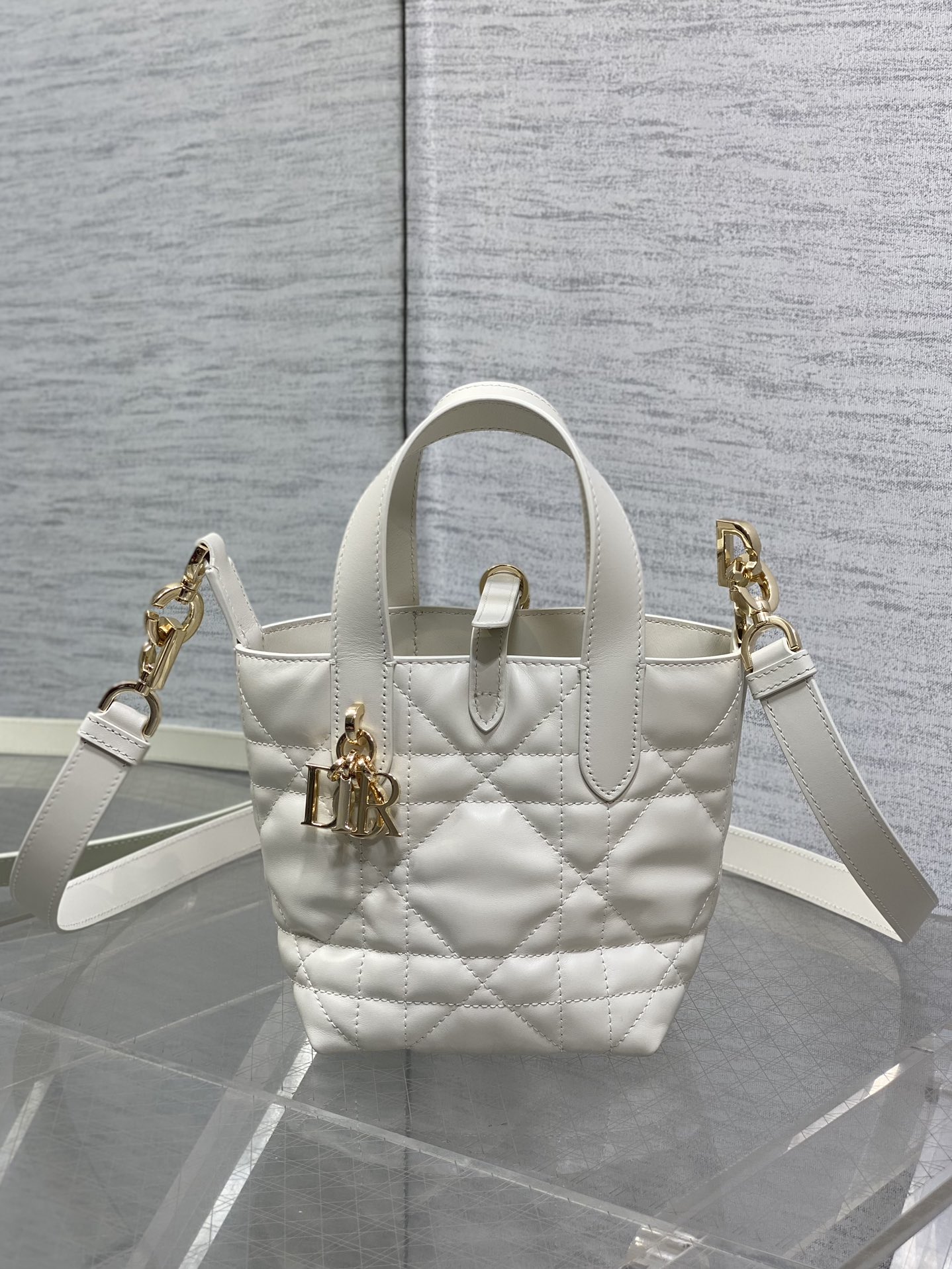 Dior Toujours vertical series mini