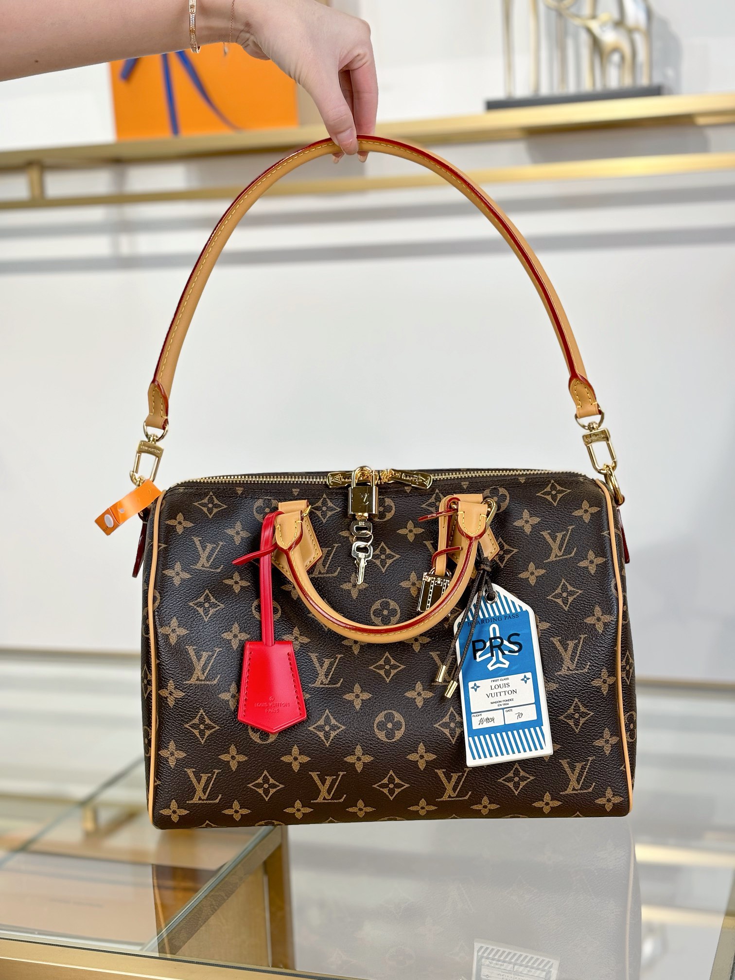 Louis Vuitton SPEEDY SOFT 30 DARK Handbag M11945