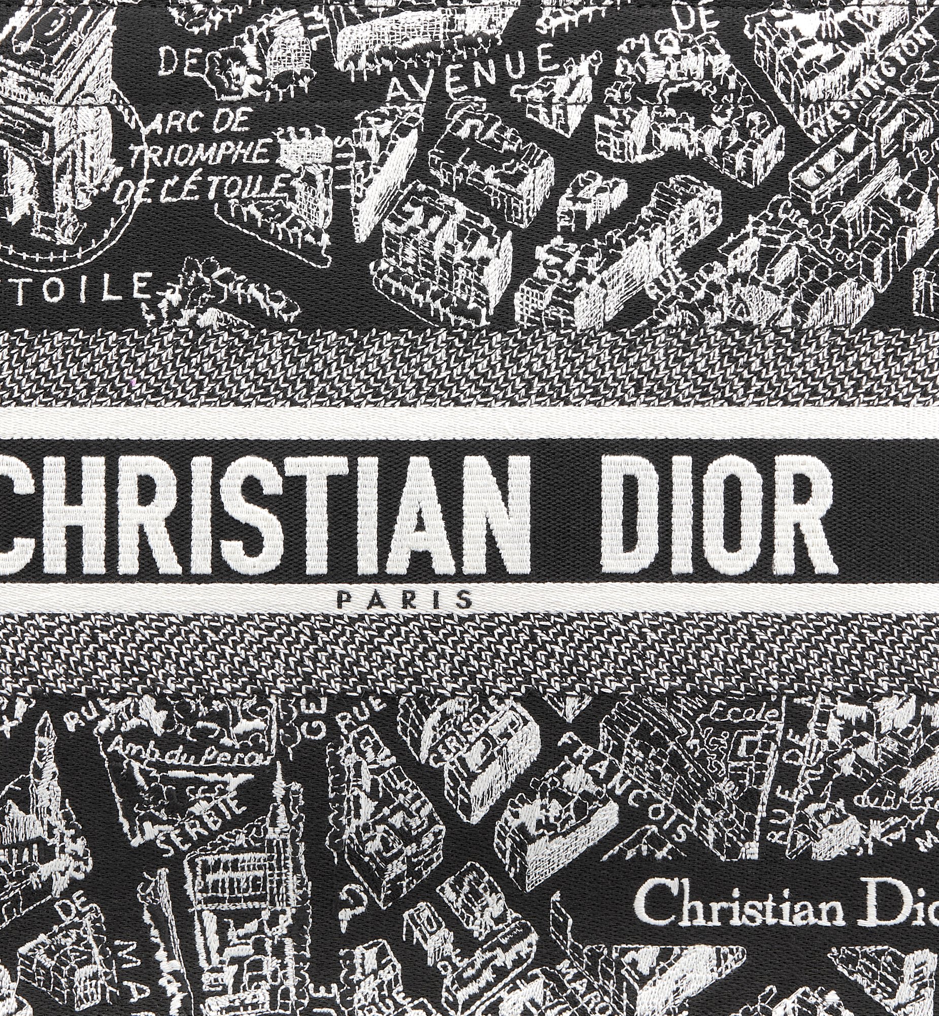 Dior Medium Book Tote Bag M1324CETJ_M46I