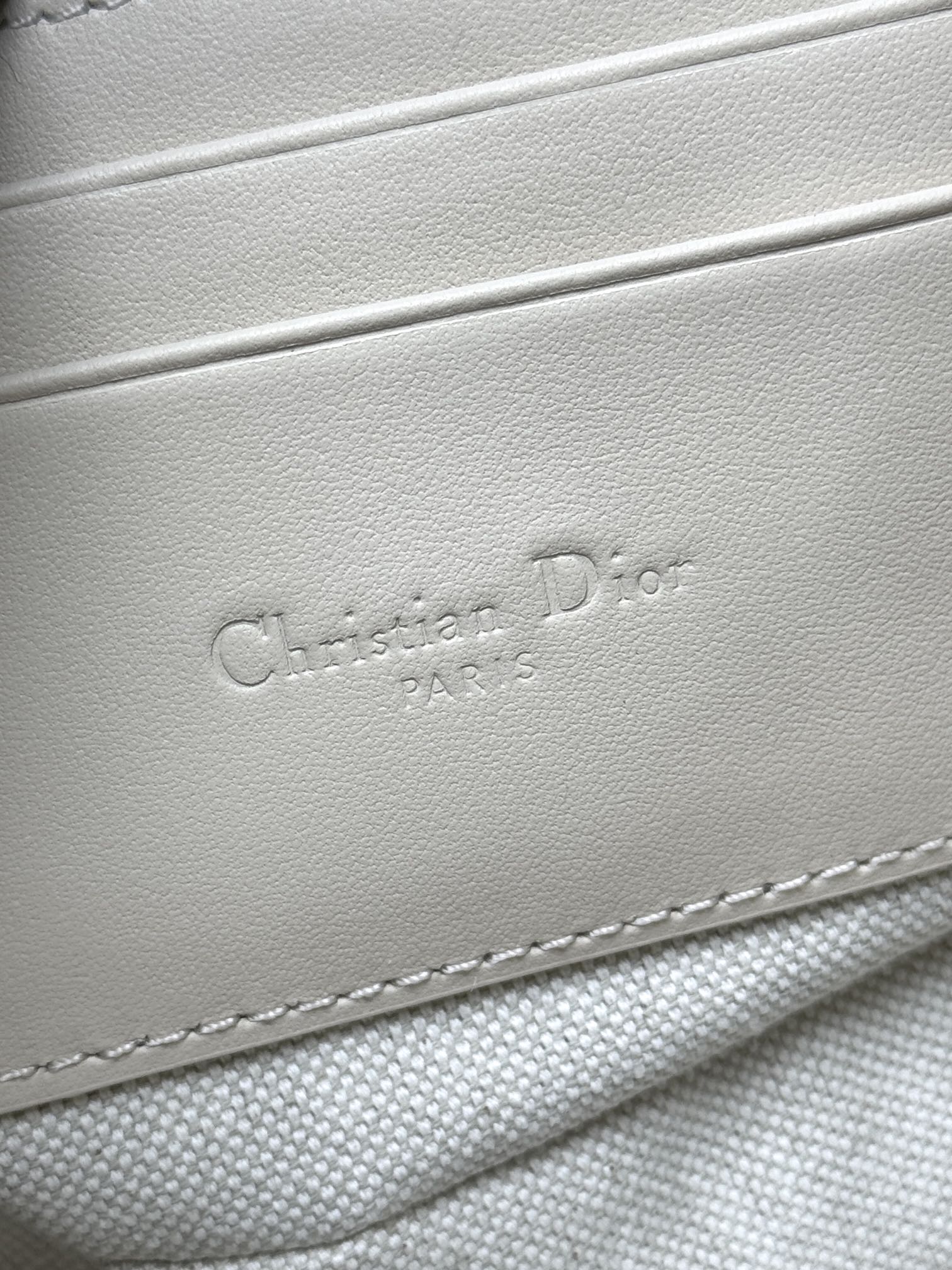 Dior star Hobo chain bag 3202