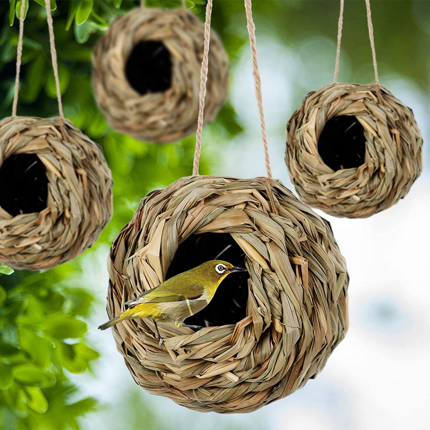 (🔥Last Day Promotion-SAVE 50% OFF)Hummingbird Nest House-BUY 3 GET 3 FREE$FREE SHIPPING