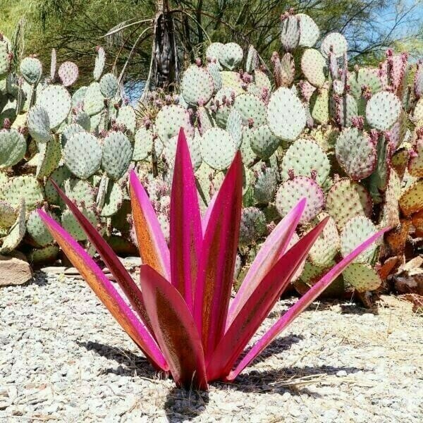 Last Day 70% OFF - 🌵Anti-rust Metal Led Tequila  Agave Plant-Perfect for garden