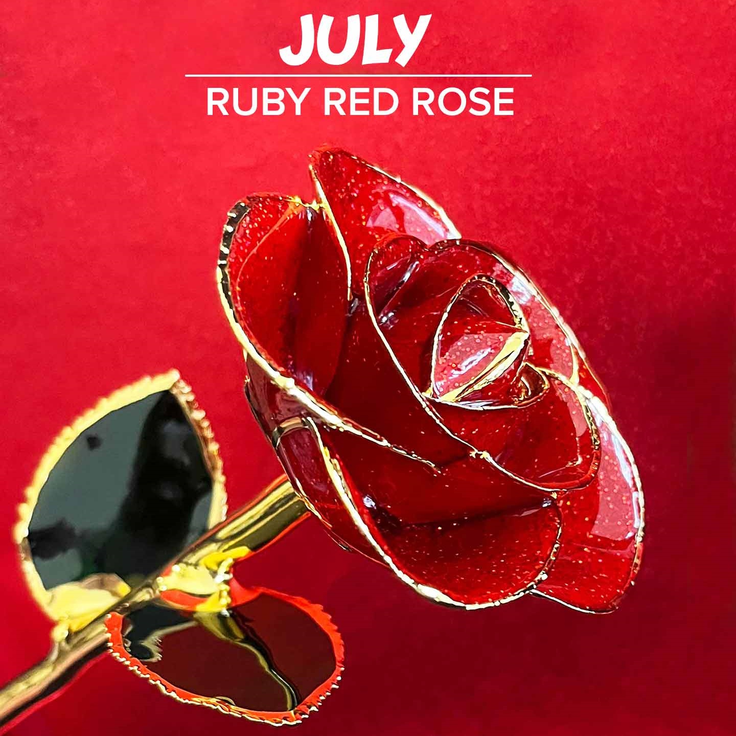 🔥HOT SALE🔥24kt Gold Dipped Rose Real Rose