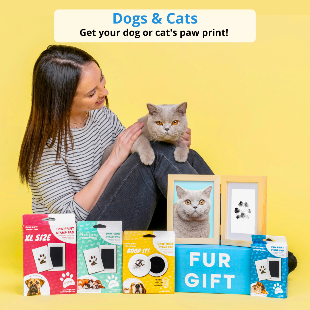 🐶Summer Hot Sale - 49% OFF 🐱Paw Print Stamp Pads