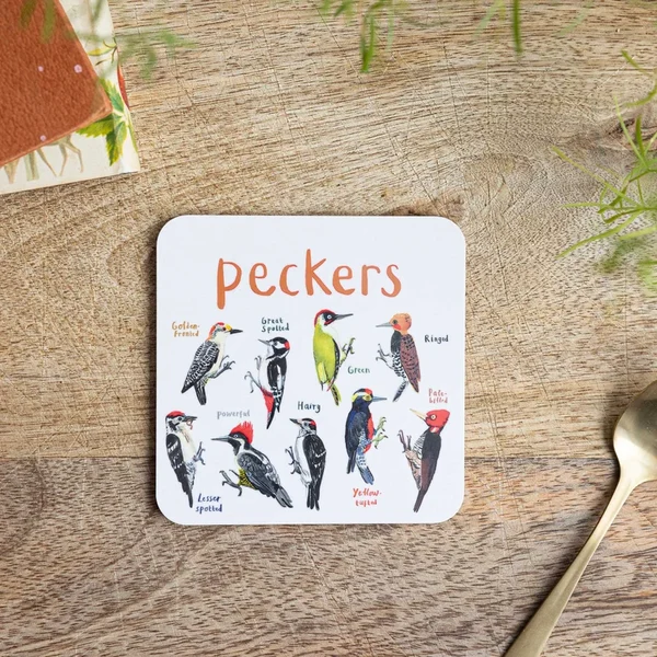 (🔥Last Day Promotion-SAVE 60% OFF)-Set of 6 Bird Pun Coasters