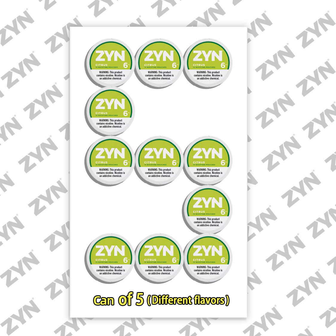 ZYN-Can of 5（Random taste）