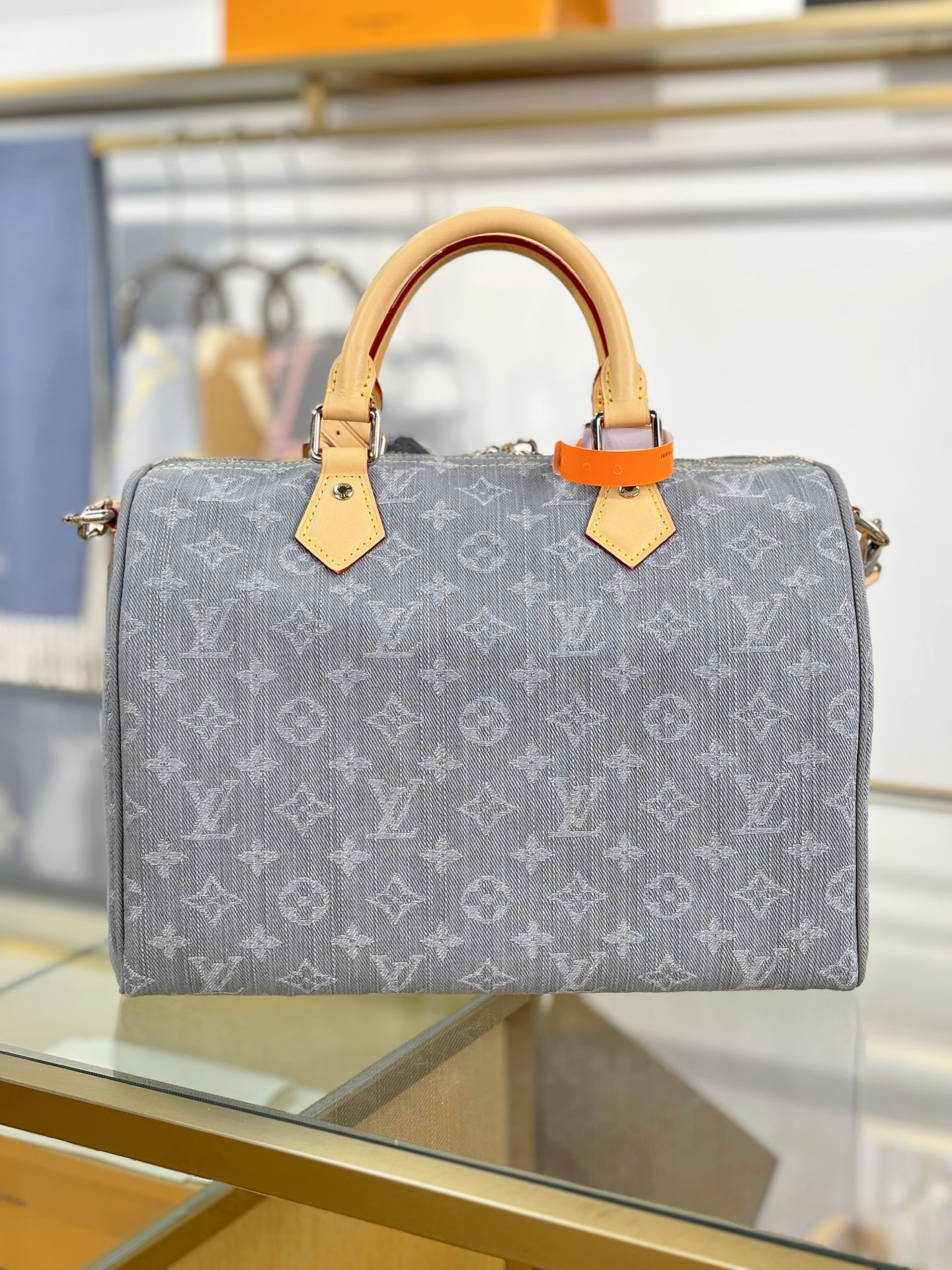 Louis Vuitton SPEEDY SOFT 30 Bag M13344