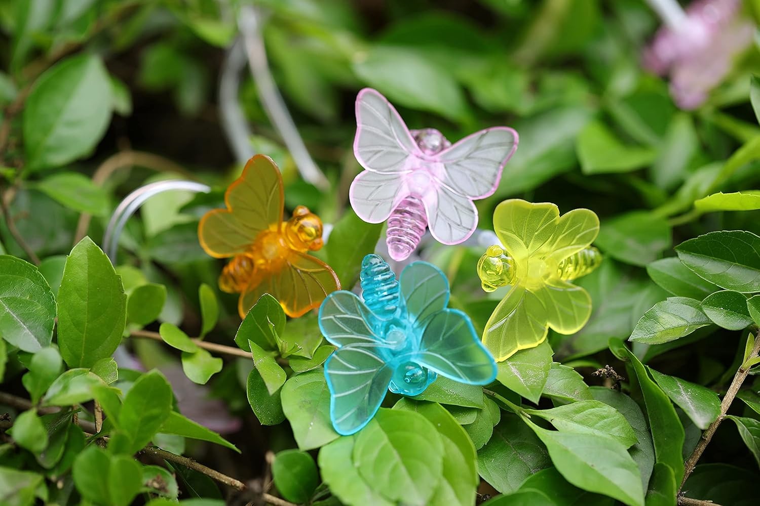 Solar Butterfly String Lights🦋🦋