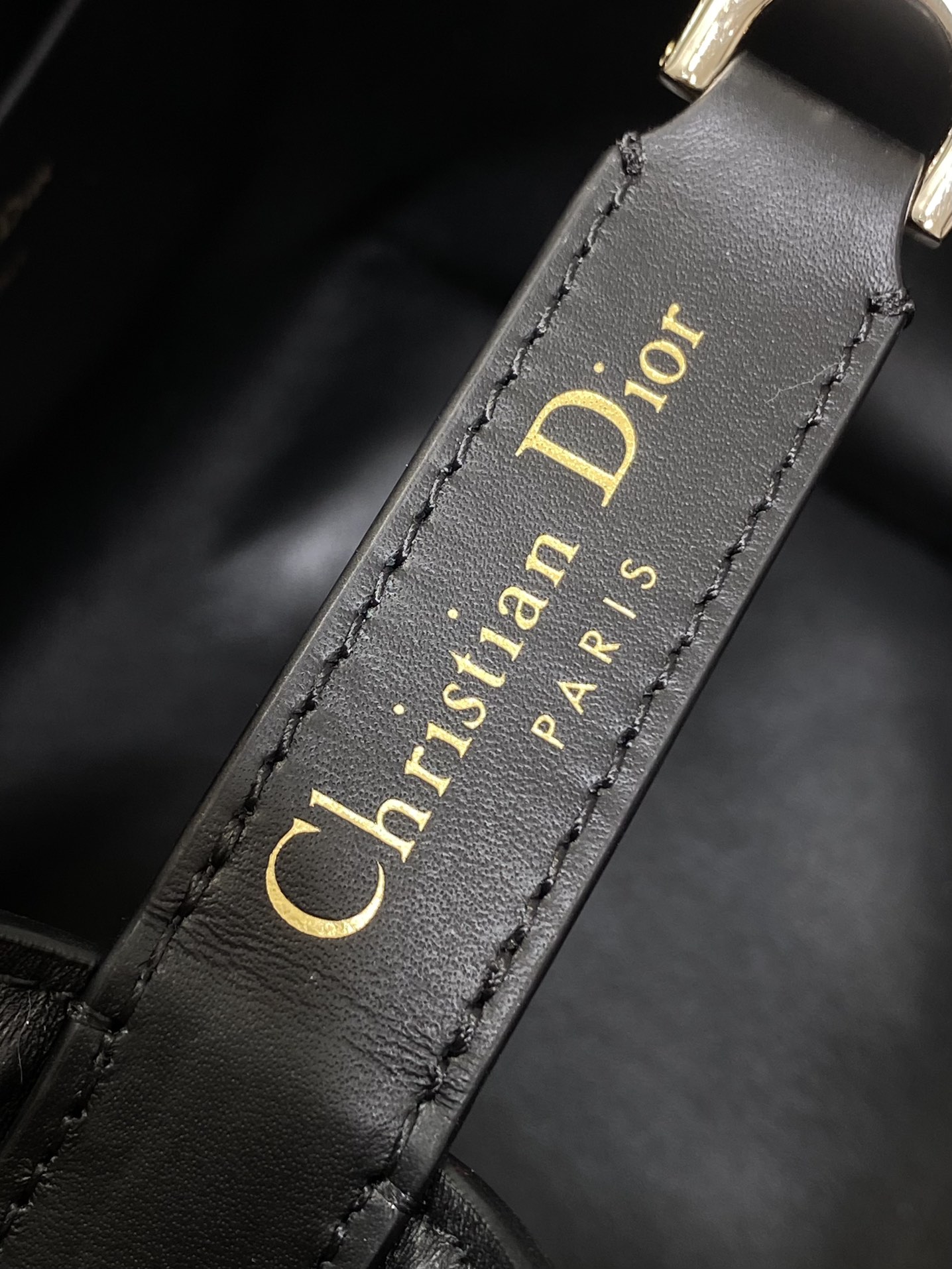 Dior Toujours Vertical Series Medium