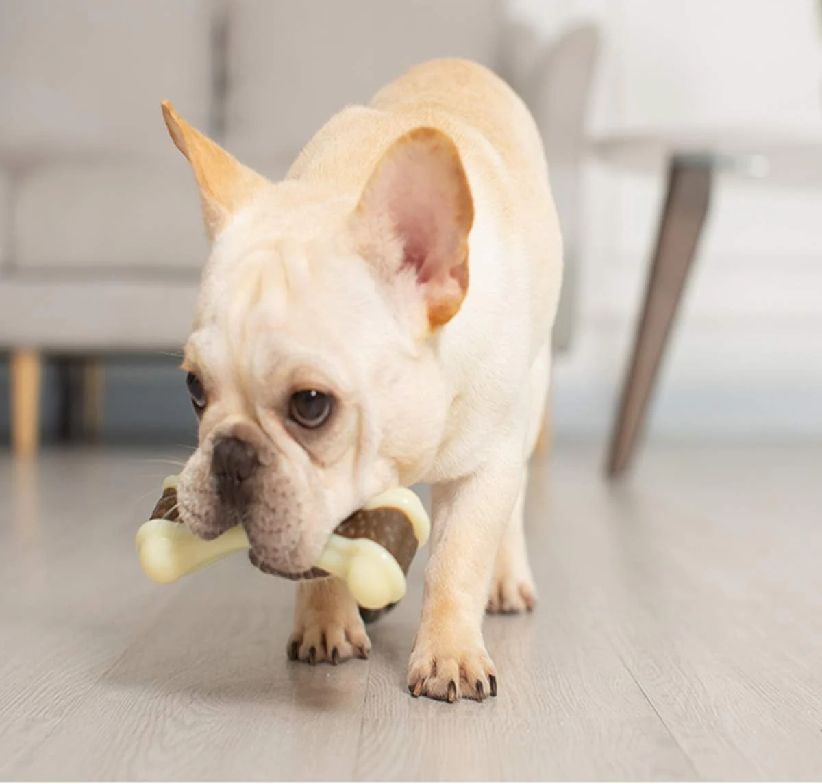 Dog Chew Toys for Aggressive Chewers Large Breed