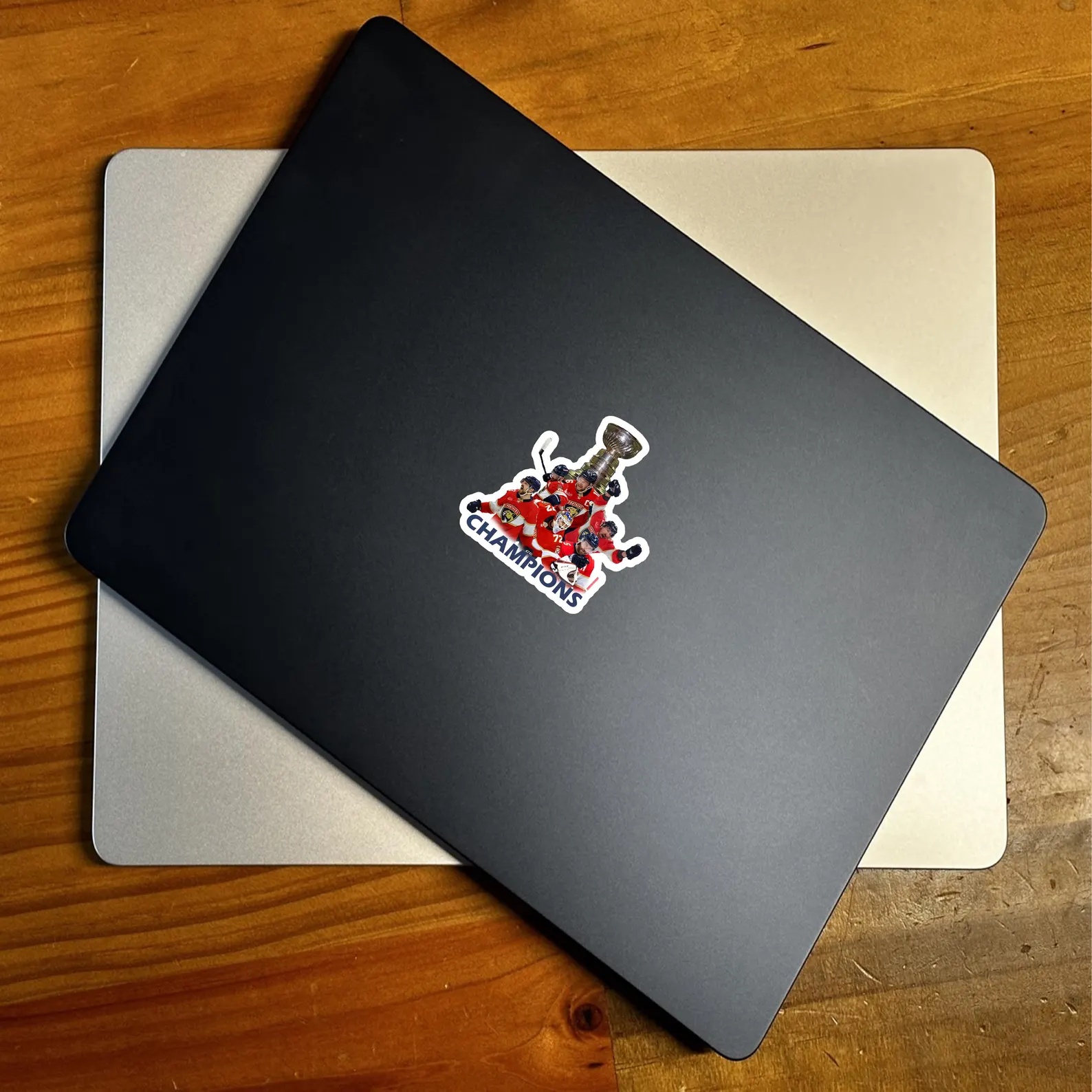 Florida Panthers 2025 Stanley Cup Champions Sticker