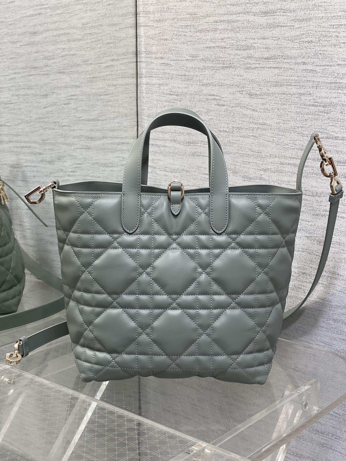 Dior Toujours Vertical Series Medium