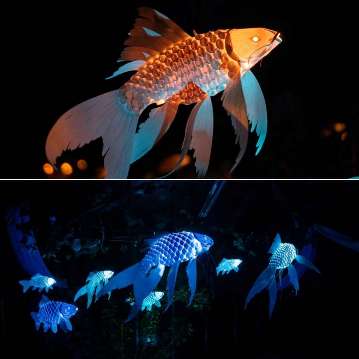 👍Last Day Promotion 60% OFF💥2024 New Paper Koi Lantern With RGB Led