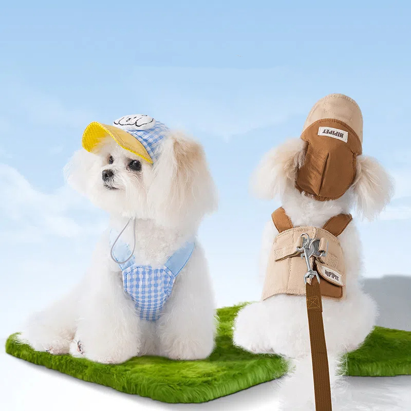 🐶🐾Fashionable dog spring and summer outdoor suit（Unleash Your Pup's Style!）