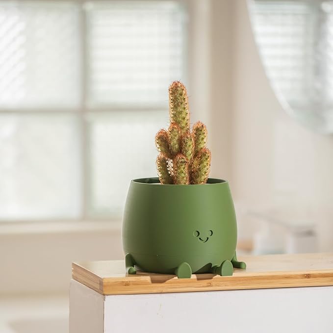Cute Smiley Face Flower Pot💥 (Self-Watering Flower Pot with Drainage Hole)