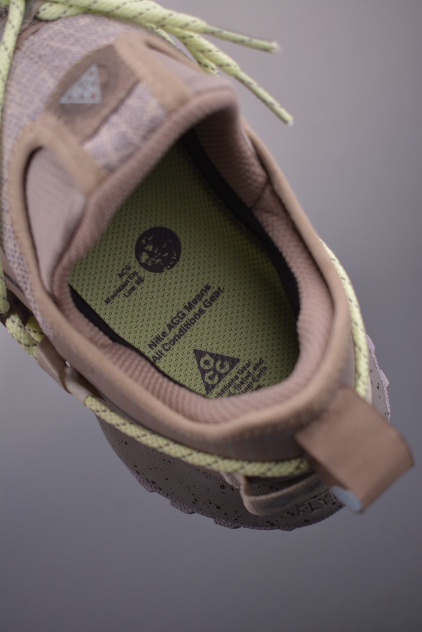 Nike ACG Mountain Fly Low Gore-Tex 
