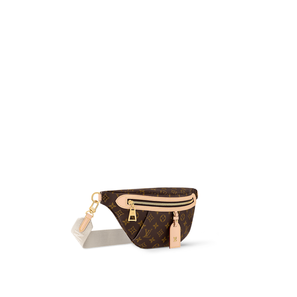 Louis Vuitton HIGH RISE Belt Bag M46784