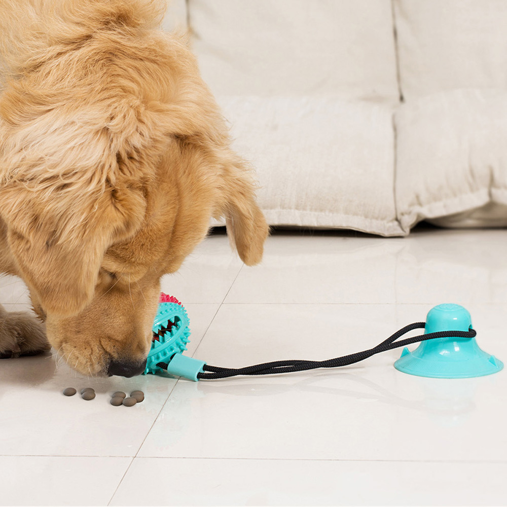 🔥Last Day Promotion - 50% OFF🔥Dog Bite Toy Interactive food leaker toy with Suction Cup