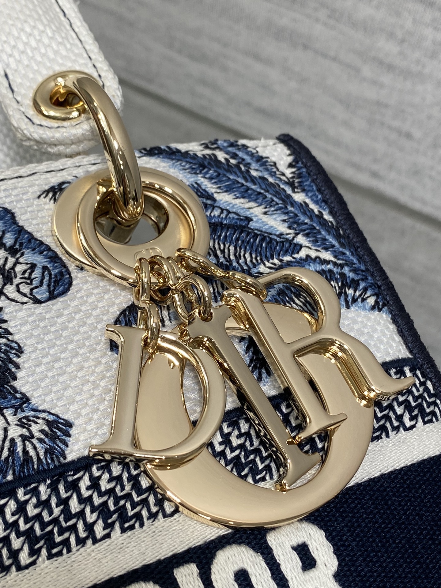 Dior Lady Summer Collection Embroidered Lady Bag