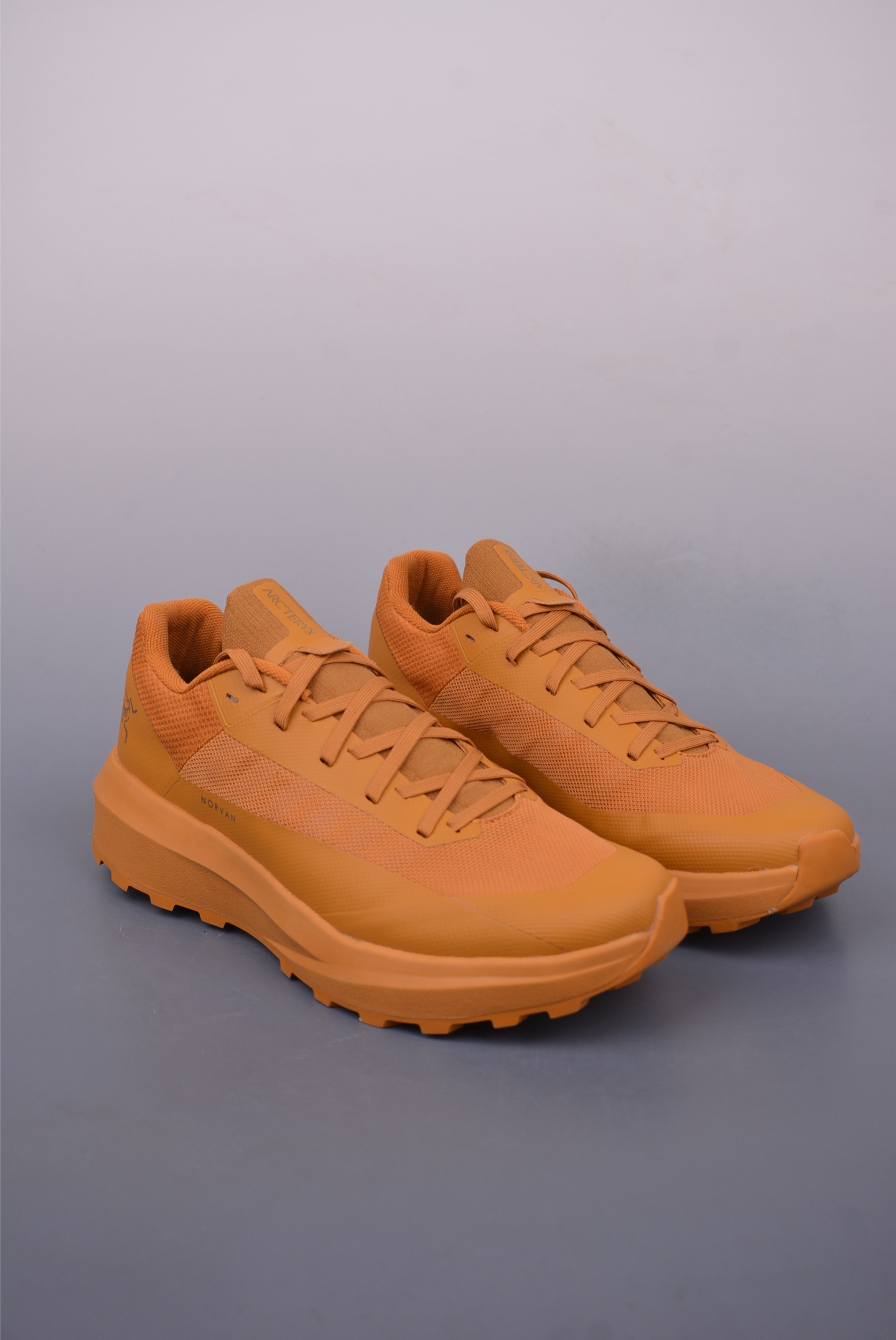 Arc'teryx Norvan LD 4 