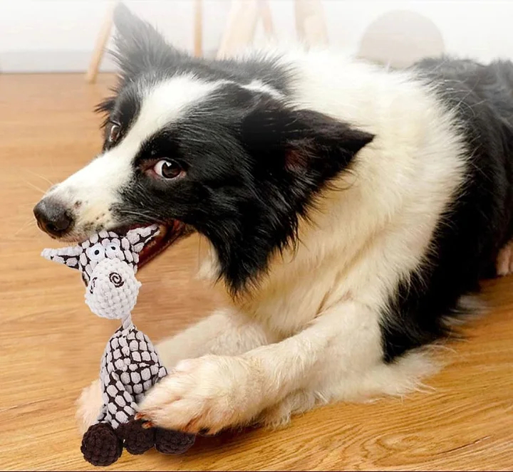 💥50% OFF--Last Day Sale-Plush Sound Toy-BUY 3 GET 15% OFF & FREE SHIPPING