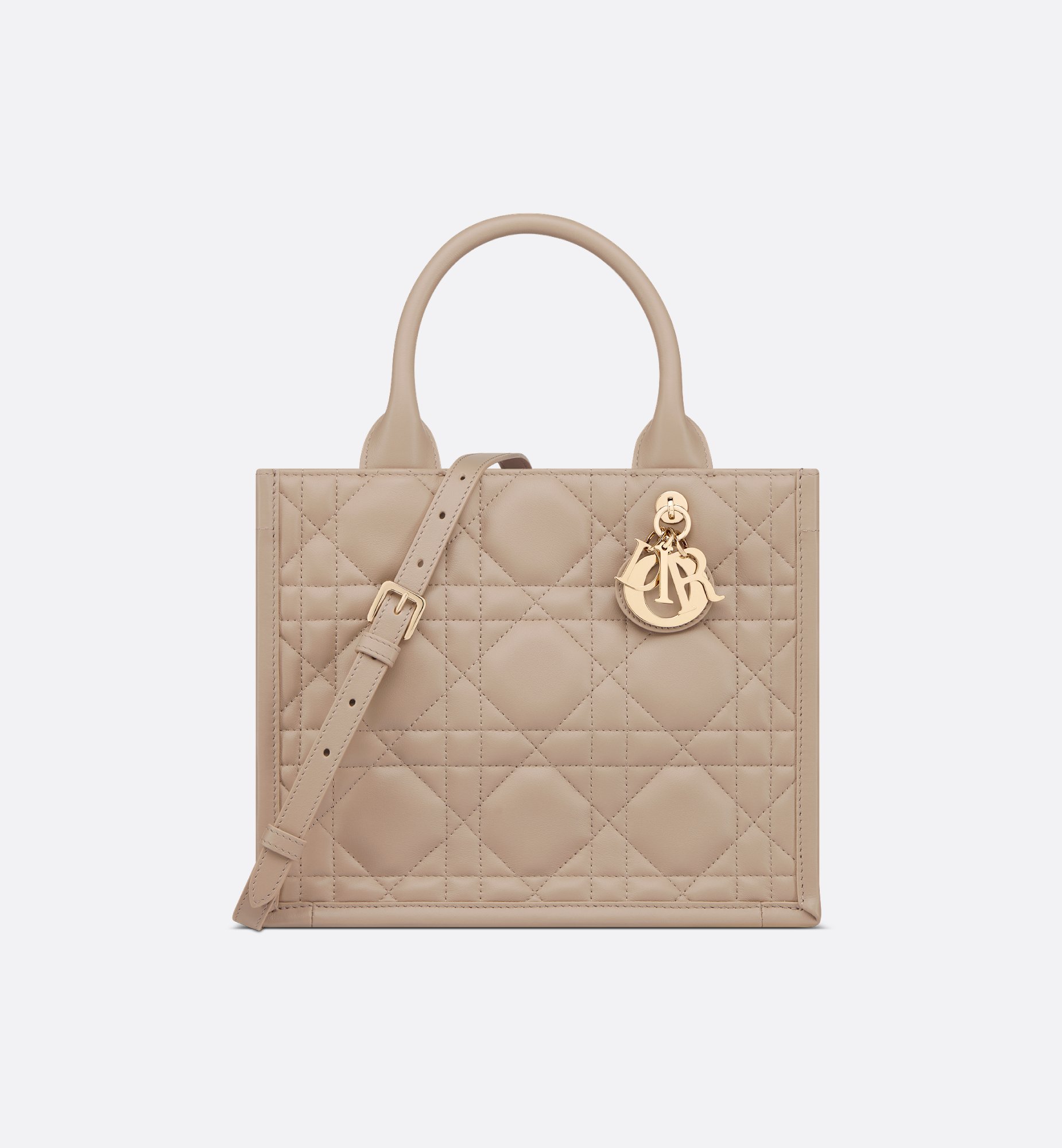 Dior Small Book Tote Bag M1325OWHP_M59U