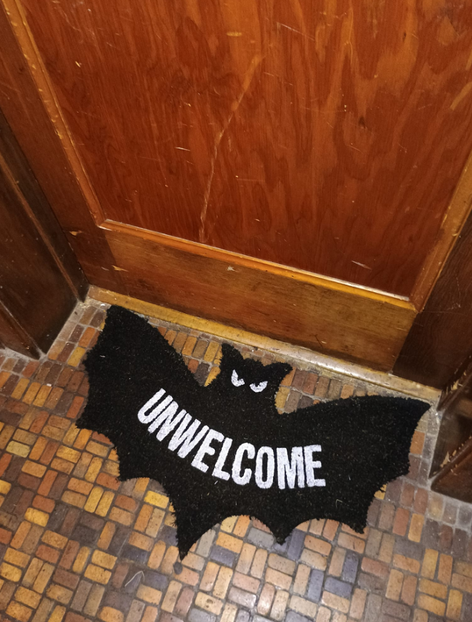 🔥Unwelcome Bat Halloween Door Mat, 32”W x 24”H-Buy 2 Free Shipping