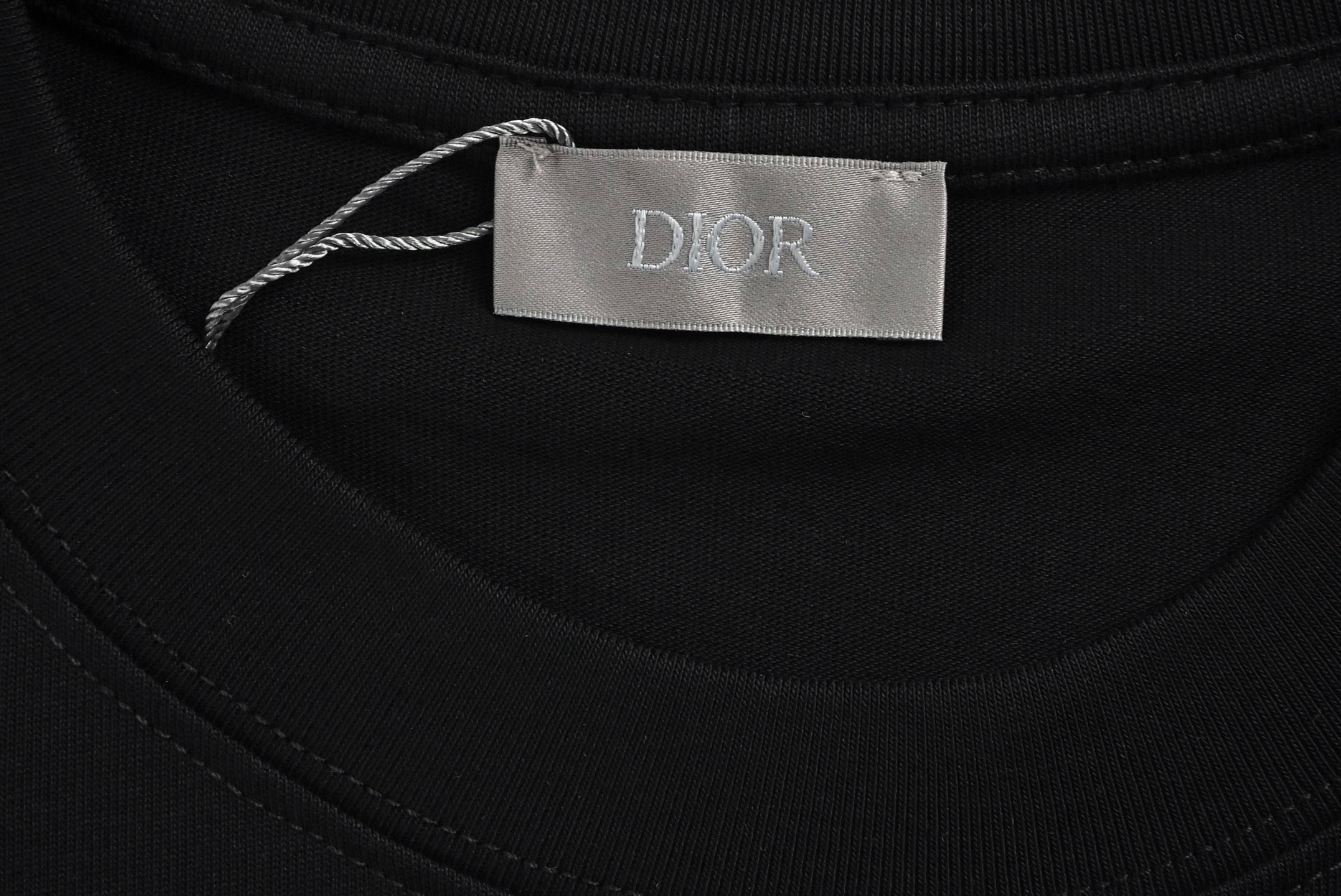Dior 25ss letter dinosaur embroidered short sleeve